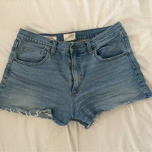 Universal Thread Denim Blue Frayed Shorts